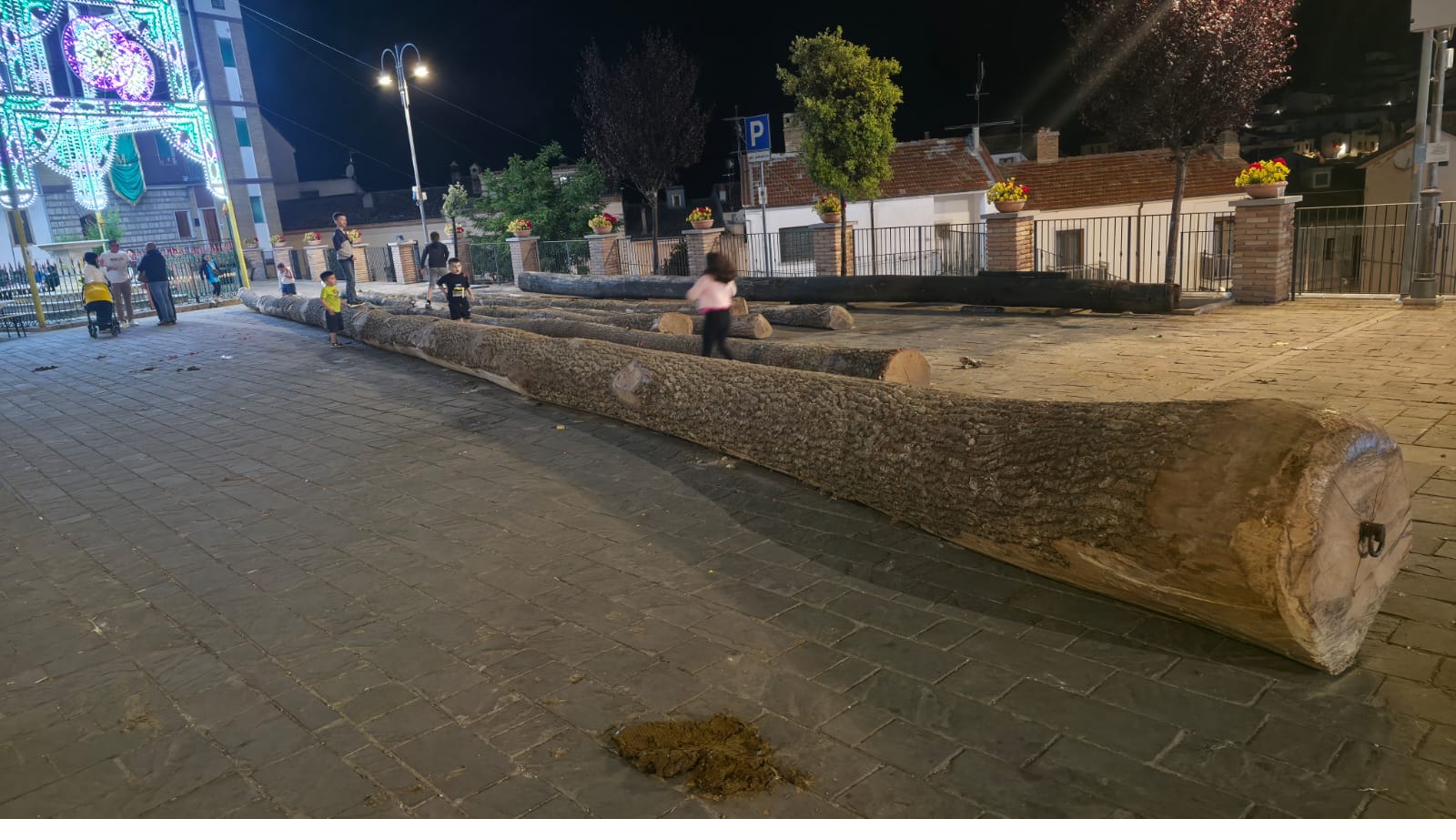 I tronchi in piazza di notte, sotto le luminarie della festa.